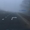 Бориспольскую трассу затянуло густым туманом (фото)