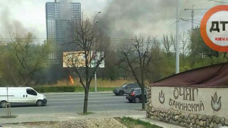 В Киеве на Совских прудах снова вспыхнул пожар. Фото: dtp.kiev.ua 