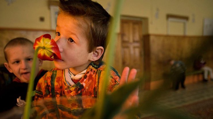 В Украине восстановят выплаты детям чернобыльцев 