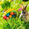 Пасха 2018: почему кролик стал символом праздника  