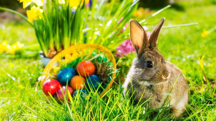 Почему кролик стал символом праздника  