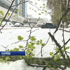Негода в Україні: у Харкові знеструмило 40 багатоповерхівок