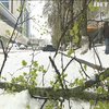Снігопад в Україні: півтисячі населених пунктів залишилися без світла 