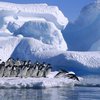 В Антарктиде из-за глобального потепления образовались новые реки 