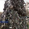 Вывоз львовского мусора обойдется в 70 млн гривен в год