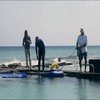 На Бермудських островах ловлять рибу за допомогою роботів 