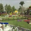 В Іраку відкрився фестиваль квітів