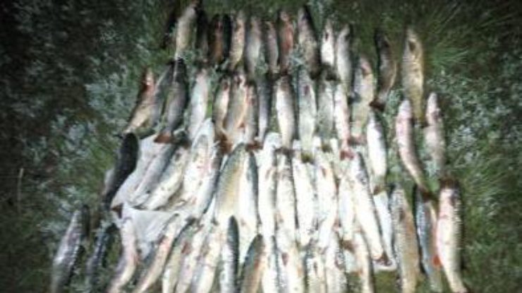 Пограничники поймали браконьеров с  рыбой почти на 200 тысяч 