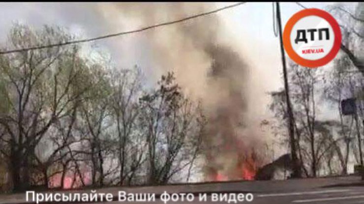 В Киеве загорелось побережье Совских прудов