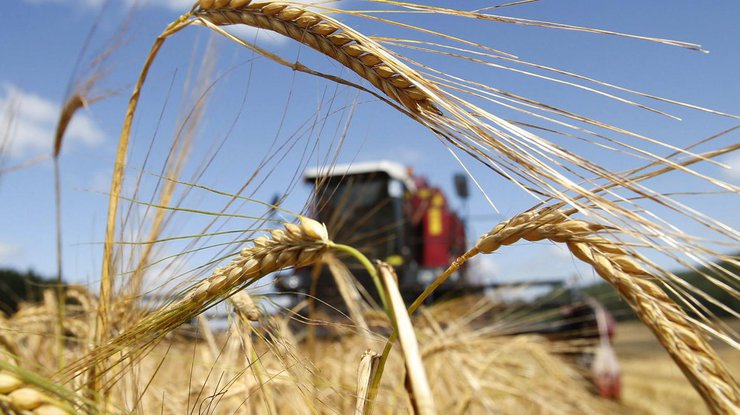 В Украине под угрозой урожай и значительная часть экспортной выручки 
