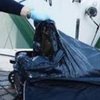 Жуткая трагедия: в порту Италии в чемодане нашли тело 27-летней женщины 