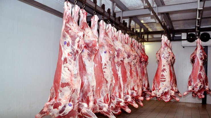 Китай открыл рынок для украинской говядины