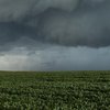 Погода на завтра: в Украине пройдут сильные дожди и грозы