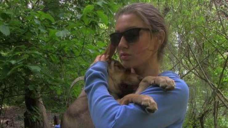 В Киеве живодеры заклеили собаке рот 