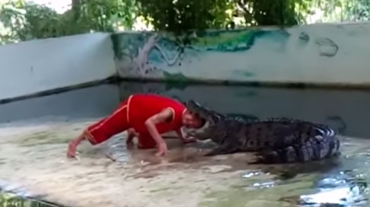 Крокодил прокусил голову дрессировщику на глазах у туристов