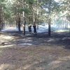 Под Николаевом начались лесные пожары 