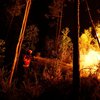 Пожар в Португалии: в стране объявлен трехдневный траур