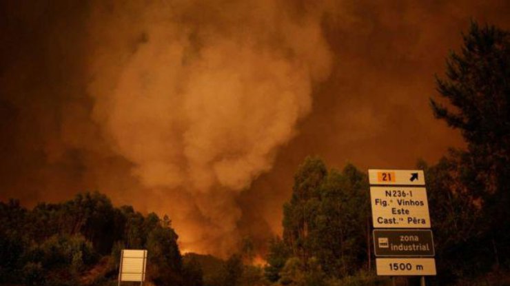 В Португалии число жертв при лесном пожаре растет 