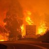 Пожары в Португалии: Евросоюз выделит помощь для борьбы с огнем
