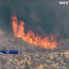 У Каліфорнії вигоріло 400 гектарів лісу