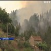 У Португалії вогнеборцям не вдається загасити лісові пожежі