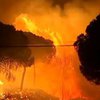 В Испании бушуют лесные пожары: людей массово эвакуируют (фото)
