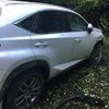 На Закарпатье водитель Lexus сбил пограничника