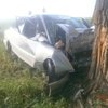 Под Киевом водитель скончался от удара в дерево 