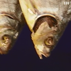 Медики просят не есть вяленую рыбу из-за вспышки ботулизма