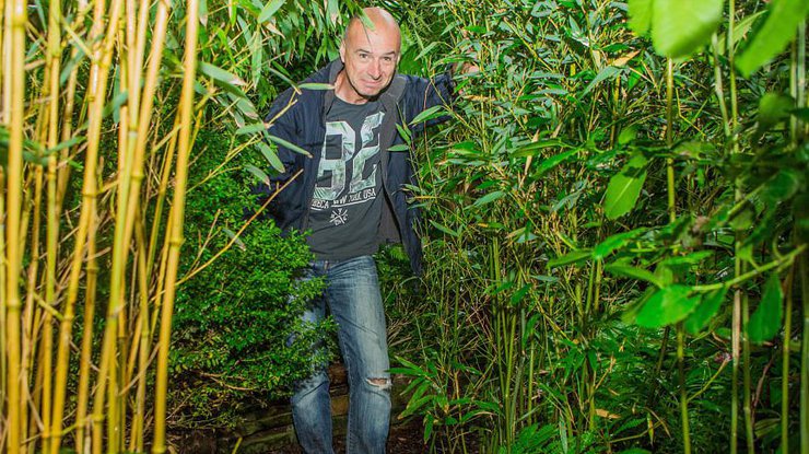 В Великобритании мужчина за 20 лет вырастил во дворе тропический лес 