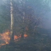 Пожар на полигоне: ветер мешает работе спасателей