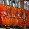 Японка уничтожила дорогую коллекцию скрипок в отместку экс-супругу 
