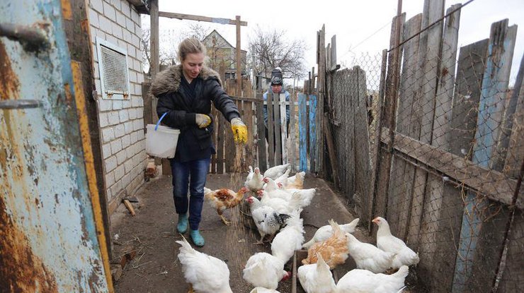Фермерское хозяйство на Донбассе / Фото: ФАО/Алексей Филиппов