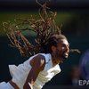 Уимблдон-2017: теннисист съел залетевшего в рот муравья (видео)