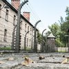 Лагерь смерти: 96-летний "бухгалтер Освенцима" отбудет тюремное наказание