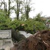 Ураганы в Польше уносят жизни людей (фото) 