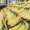 В бананах из супермаркета обитают опасные пауки 