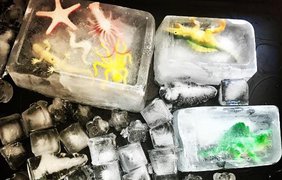 Игры со льдом: раскопки динозавров, ледяные цветы и замок Снежной Королевы (фото)
