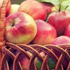Яблочный Спас 2017: народные приметы 