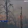 В Техасі евакуюють мешканців через лісову пожежу