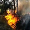 Пожежа в Хортиці: відпочивальники знехтували правилами безпеки