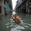 Ураган "Ирма": страшные кадры разрушительных последствий 