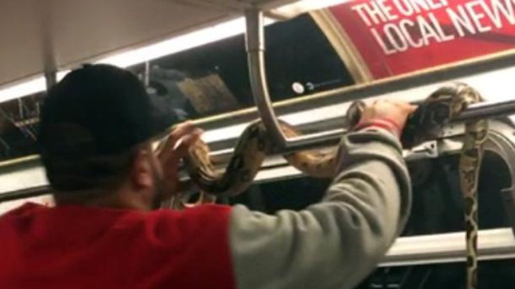 В метро Нью-Йорка поручни "заменили" живым питоном
