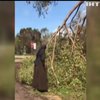 Ураган "Ірма": відео з черницею-майстринею набрало більше мільйона переглядів