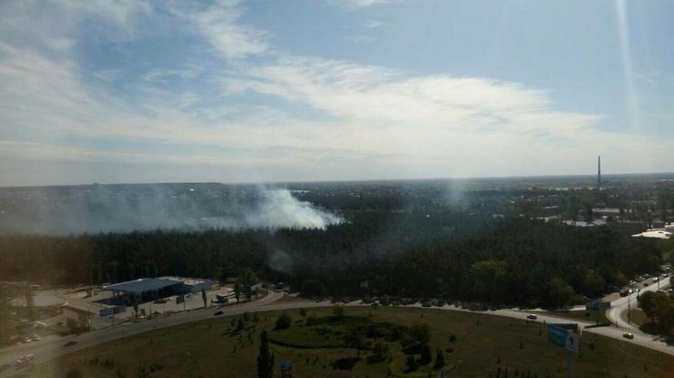 В Киеве горит лес 