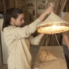 Британці вирощують меблі з грибів (відео)