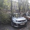 В Украине шквальный ветер валит деревья и электроопоры (фото) 