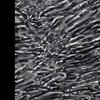 Научный прорыв: из кожи удалось вырастить мышечные клетки 
