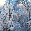 В Украине ударят сильные морозы
