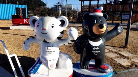 Олимпиада-2018 в Пхенчхане станет рекордной по количеству участников